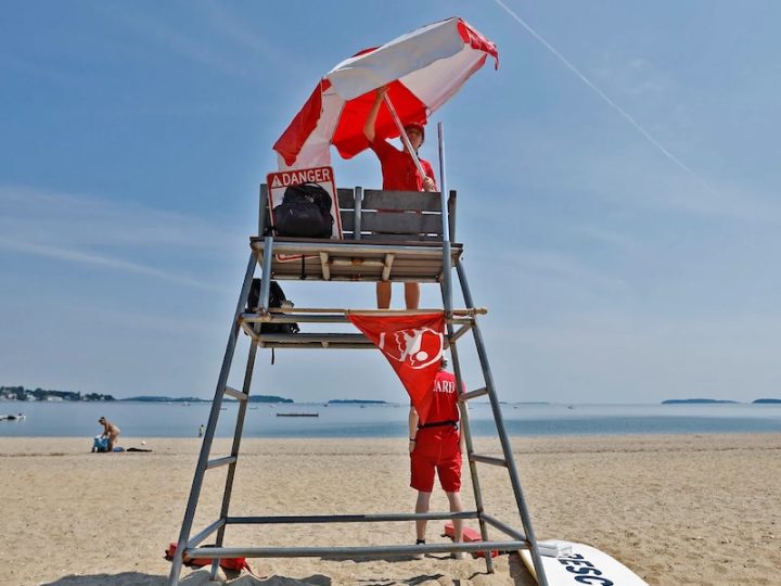 Lifeguard1